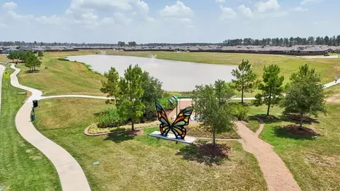 View/Area - 20715 Central Concave Dr, New Caney, TX 77357 photo 4 of 6