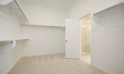 Other - 920 Shooting Star Dr, Prosper, TX 75078 photo 5 of 12
