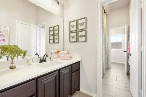 Bath - 301 River Meadows Ln, Argyle, TX 76226 photo 6 of 10