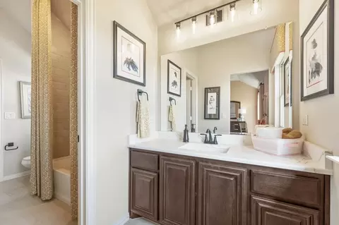Bath - 301 River Meadows Ln, Argyle, TX 76226 photo 8 of 10