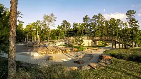 View/Area - 106 Adoration Woods Ct, Willis, TX 77318 photo 6 of 8