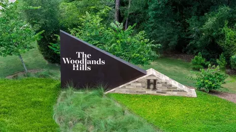 View/Area - 106 Adoration Woods Ct, Willis, TX 77318 photo 1 of 8