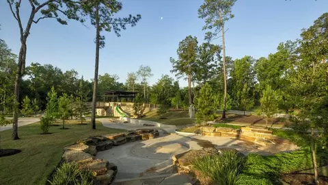 View/Area - 106 Adoration Woods Ct, Willis, TX 77318 photo 8 of 8
