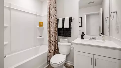 Bath - 57 Sunriff Ct, Greer, SC 29651 photo 1 of 3