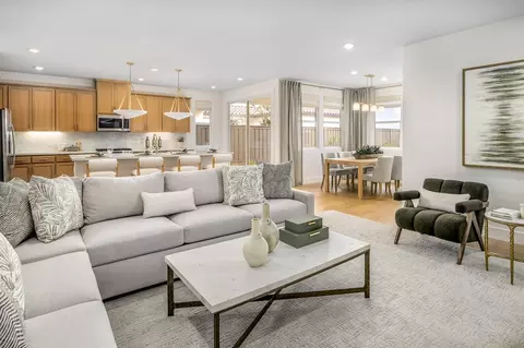 Living - 3329 Ives Ln, Tracy, CA 95377 photo 1 of 1