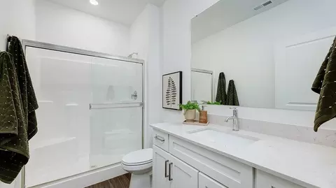 Bath - 8893 E Moontear Way, Vail, AZ 85641 photo 3 of 4