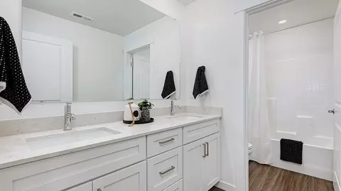Bath - 8893 E Moontear Way, Vail, AZ 85641 photo 4 of 4
