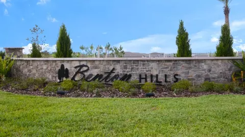 View/Area - 31391 Malbec Dr, Brooksville, FL 34602 photo 4 of 4