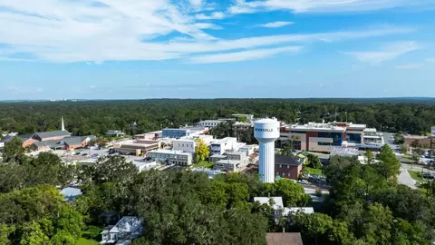 View/Area - 31391 Malbec Dr, Brooksville, FL 34602 photo 3 of 4
