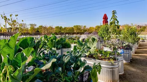 View/Area - 8368 Toyon St, Chino, CA 91708 photo 2 of 11