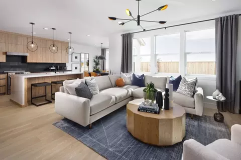 Living - 1733 Central Pkwy, Dublin, CA 94568 photo 4 of 5