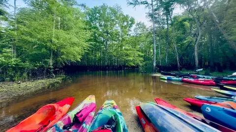 View/Area - 3820 Alligator Rd, Florence, SC 29501 photo 3 of 5