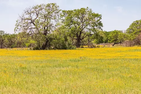 Other - 3020 Dynasty Dr, Leander, TX 78641 photo 3 of 3