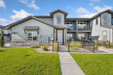 Exterior - 6838 Stonebrook Dr, Timnath, CO 80547 photo 5 of 8