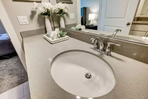 Bath - 6838 Stonebrook Dr, Timnath, CO 80547 photo 3 of 4