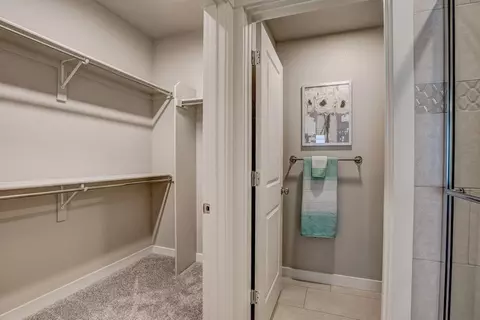 Other - 6838 Stonebrook Dr, Timnath, CO 80547 photo 5 of 14