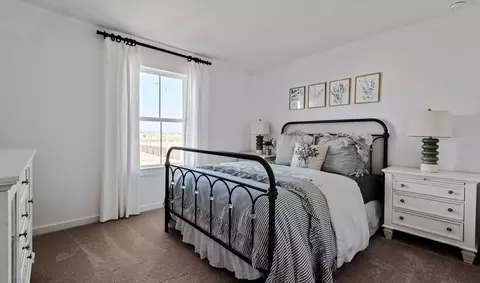Bedroom - 201 Eldridge Dr, Sealy, TX 77474 photo 5 of 6