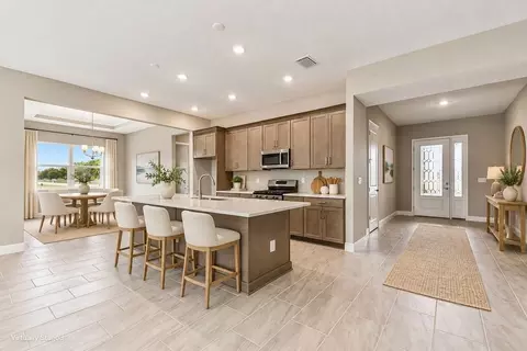 Entry Way - 12305 White Blossom Ct, Parrish, FL 34219 photo 1 of 4