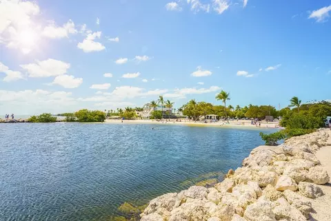View/Area - 28544 SW 176th Ave, Miami, FL 33030 photo 1 of 1
