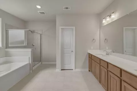Bath - 1209 Colca Dr, Springtown, TX 76082 photo 2 of 2