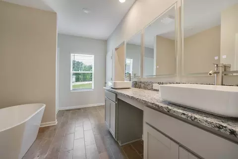 Bath - 115 Woodlands Dr, Jackson, GA 30233 photo 2 of 9