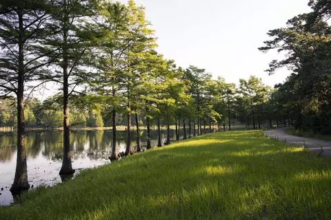 Other - 434 Lake Day Dr, Conroe, TX 77304 photo 8 of 15