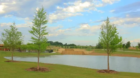 View/Area - 15045 Splendor St, Etj Fort Worth, TX 76008 photo 8 of 12
