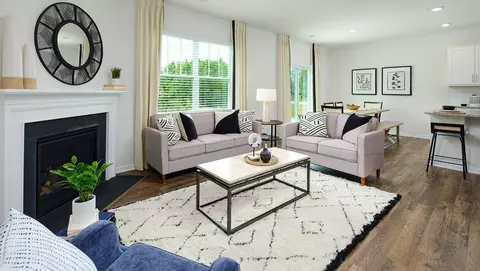 Living - 3013 Ryelands Pl, Lancaster, SC 29720 photo 9 of 9