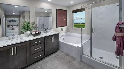 Bath - 2025 Wildcat St, Manteca, CA 95336 photo 1 of 3