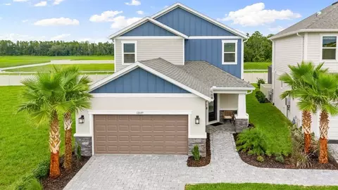 12709 Treeline Ridge Ave, San Antonio, FL 33576