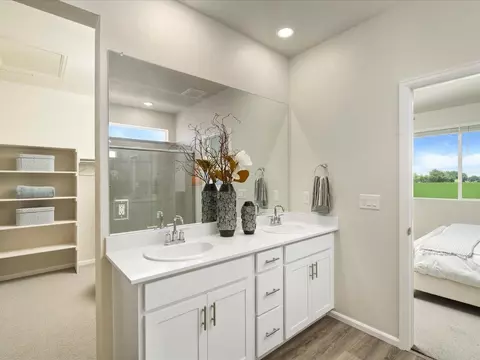 1633 Colorado River Dr, Windsor, CO 80550