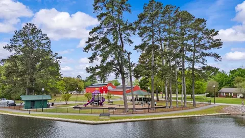 Other - 870 Old Station Pointe, Angier, NC 27501 photo 18 of 22