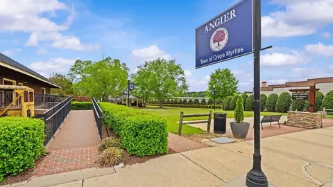 Exterior - 870 Old Station Pointe, Angier, NC 27501 photo 18 of 20