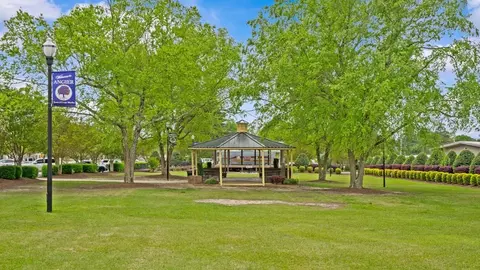 Other - 870 Old Station Pointe, Angier, NC 27501 photo 20 of 22