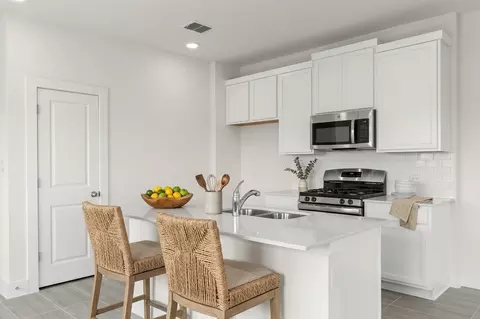 Kitchen - 807 White Steppe Way, Georgetown, TX 78626 photo 1 of 4