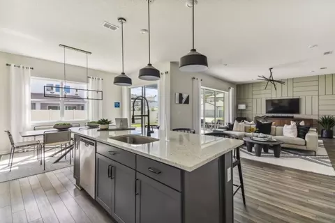 Kitchen - 16918 Canary Trl, Parrish, FL 34219 photo 1 of 3