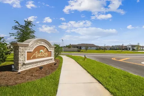 View/Area - 619 Hillshire Pl, Spring Hill, FL 34609 photo 4 of 12