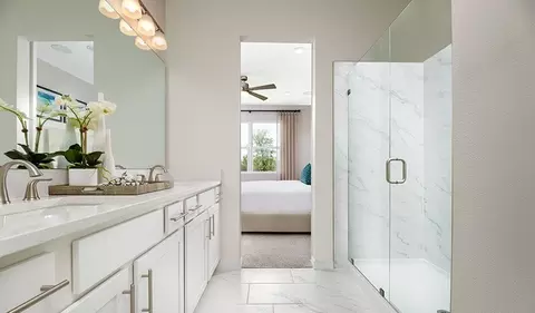 Bath - 1026 Cloud Ridge Ct, Mount Dora, FL 32757 photo 2 of 3