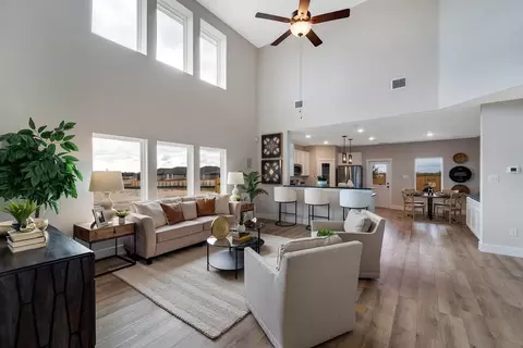 Living - 313 Box Elder Ct, Waller, TX 77484 photo 3 of 8