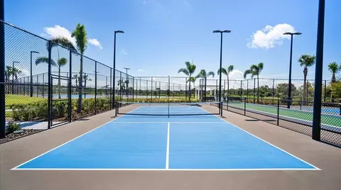 View/Area - 13553 Noble Garnet Ln, Parrish, FL 34219 photo 7 of 10