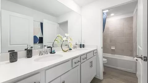 Bath - 3613 Ambersweet Xing, Parrish, FL 34219 photo 4 of 6