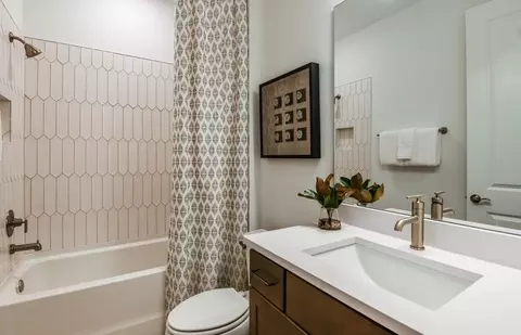 Bath - 13716 Sunlight Meadow Dr, Riverview, FL 33578 photo 3 of 3