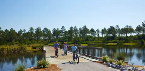 View/Area - 56 A Suwannee Dr, Inlet Beach, FL 32461 photo 32 of 57