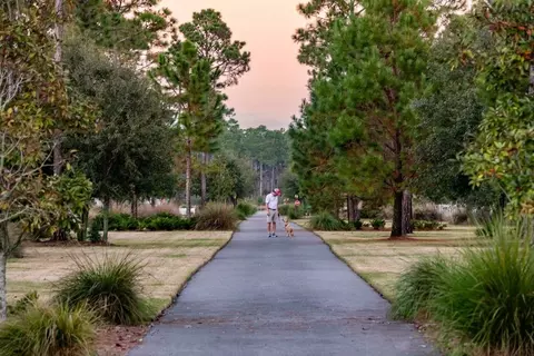 View/Area - 56 A Suwannee Dr, Inlet Beach, FL 32461 photo 38 of 57