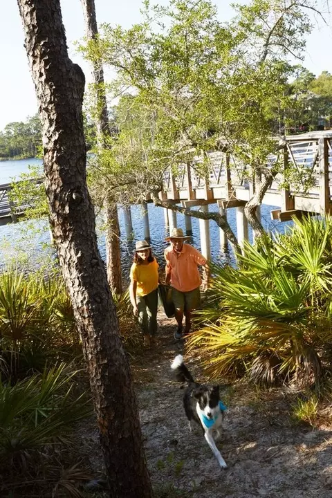 View/Area - 56 A Suwannee Dr, Inlet Beach, FL 32461 photo 16 of 57