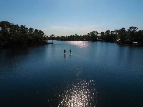 View/Area - 56 A Suwannee Dr, Inlet Beach, FL 32461 photo 37 of 57