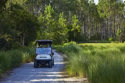 View/Area - 56 A Suwannee Dr, Inlet Beach, FL 32461 photo 47 of 57