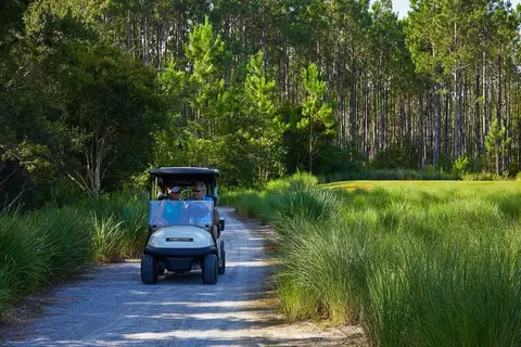 View/Area - 56 A Suwannee Dr, Inlet Beach, FL 32461 photo 18 of 57