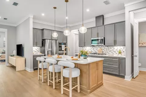 Kitchen - 56 A Suwannee Dr, Inlet Beach, FL 32461 photo 1 of 6