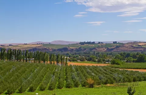 View/Area - 130 Blantons Lp, Grandview, WA 98930 photo 4 of 4